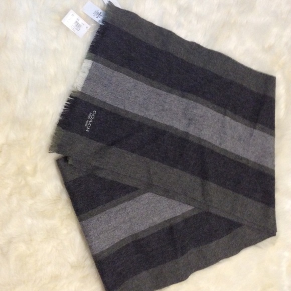 Coach Accessories - New Coach Scarf Gray Olive Green Stripe 70 x 12